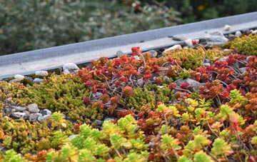 the cost of Lolworth green roof installation