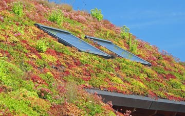 Lolworth living roof systems